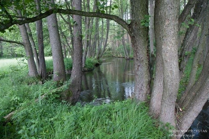 Vila Bobrowa Przystan Czechyn Exteriér fotografie