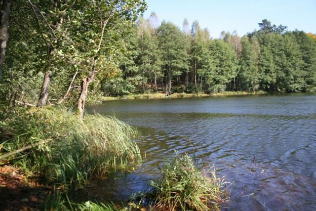 Vila Bobrowa Przystan Czechyn Exteriér fotografie