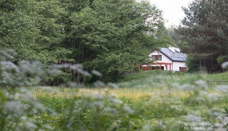 Vila Bobrowa Przystan Czechyn Exteriér fotografie