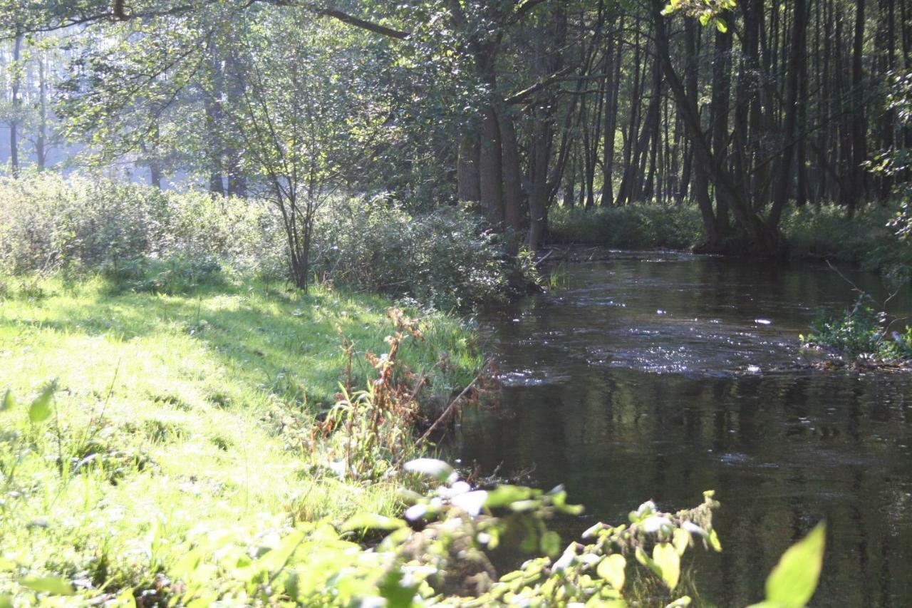 Vila Bobrowa Przystan Czechyn Exteriér fotografie