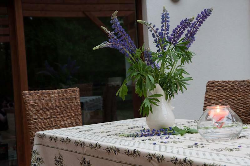 Vila Bobrowa Przystan Czechyn Exteriér fotografie