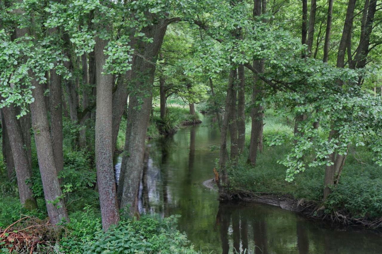 Vila Bobrowa Przystan Czechyn Exteriér fotografie